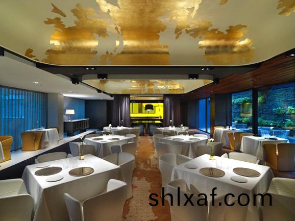 商(shang)務(wu)酒(jiu)店(dian)設計風格一(yi)